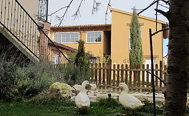 Casa Rural Valle del Duero en Langa de Duero (Soria) - Foto 11