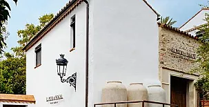 El Patio del Nogal 0024