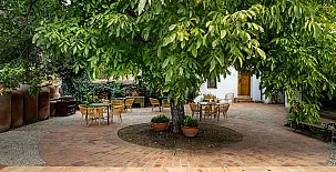 El Patio del Nogal 0030