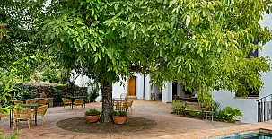 El Patio del Nogal 0042
