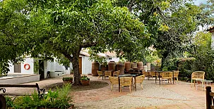 El Patio del Nogal 0043