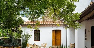 El Patio del Nogal 005