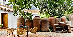 El Patio del Nogal 004