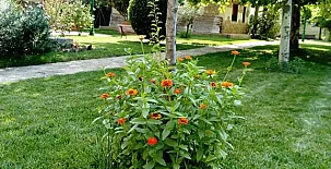 Alojamientos Rurales La Solana 0018