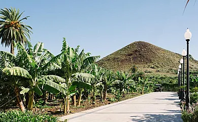 Finca el patio en Los Realejos (Santa Cruz de Tenerife) - Foto 4