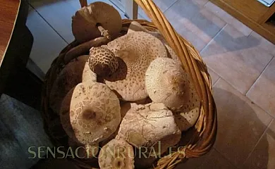 La Esperilla de Gredos en Barajas (Ávila) - Foto 15