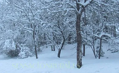 La Esperilla de Gredos en Barajas (Ávila) - Foto 16