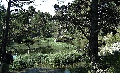 Casa Rural El Quemao en Villoslada de Cameros (La Rioja) - Foto 13
