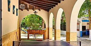 El Caballero Andante 005