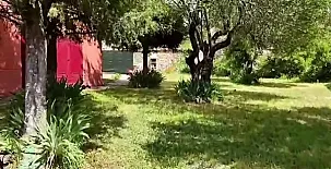 La Perseverancia y Casa de Azúcar 004