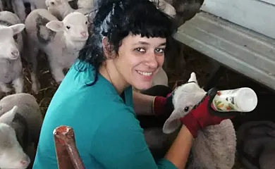 La Mesonera en Cilleros (Cáceres) - Foto 9