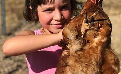 La Mesonera en Cilleros (Cáceres) - Foto 10