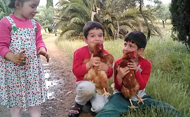 La Mesonera en Cilleros (Cáceres) - Foto 15