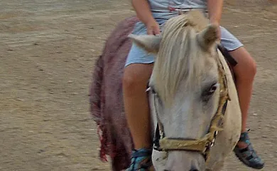 La Mesonera en Cilleros (Cáceres) - Foto 22