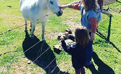 La Mesonera en Cilleros (Cáceres) - Foto 24