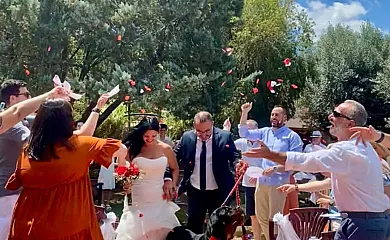 Complejo Rural Entre Viejos Olivos en Benicolet (Valencia) - Foto 17