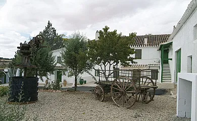 Casa Rural los Cerrillos en Argamasilla de Alba (Ciudad Real) - Foto 1