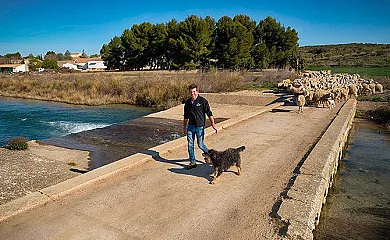 Casa Rural los Cerrillos en Argamasilla de Alba (Ciudad Real) - Foto 9