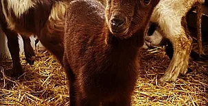 Casa Rural los Cerrillos 0010