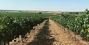 Casa Rural los Cerrillos 0011