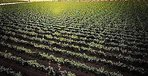 Casa Rural los Cerrillos 005