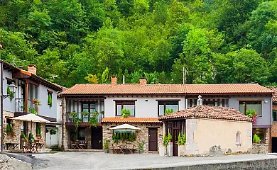 La Xiuca en Puente (Asturias) - Foto 1