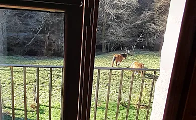 Fuentehermosa en Elizondo (Navarra) - Foto 18
