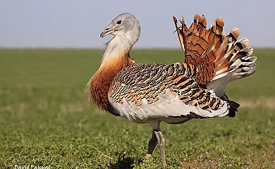 Los Cantones en Villanueva Del Aceral (Ávila) - Foto 7