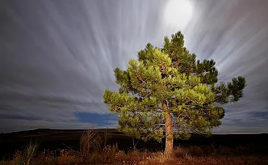 Los Cantones en Villanueva Del Aceral (Ávila) - Foto 8