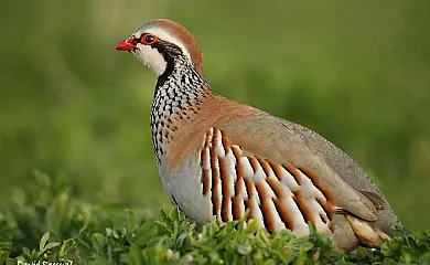 Los Cantones en Villanueva Del Aceral (Ávila) - Foto 9