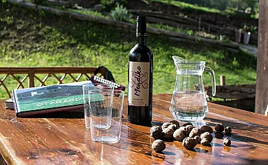 Otardi Landa Aterpetxea en Asteasu (Guipuzcoa) - Foto 16