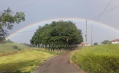 Otardi Landa Aterpetxea en Asteasu (Guipuzcoa) - Foto 17