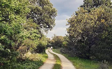 Los Secaderos en Candeleda (Ávila) - Foto 16