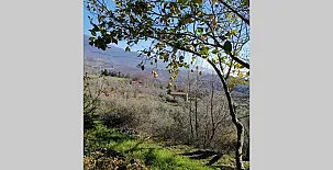 La Casa Mágica de Gredos 0085