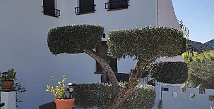 Alojamiento Rural Monte Las Viñas 0048