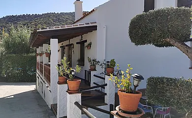 Alojamiento Rural Monte Las Viñas en Benaojan (Málaga) - Foto 9