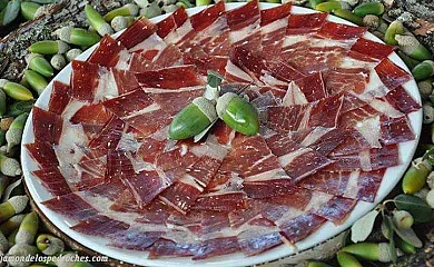 Las Vegas del Tio Pedro en Pozoblanco (Córdoba) - Foto 8