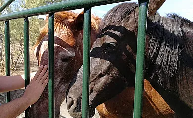 Las Vegas del Tio Pedro en Pozoblanco (Córdoba) - Foto 10