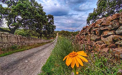 Las Vegas del Tio Pedro en Pozoblanco (Córdoba) - Foto 18