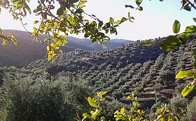 Las Vegas del Tio Pedro en Pozoblanco (Córdoba) - Foto 19