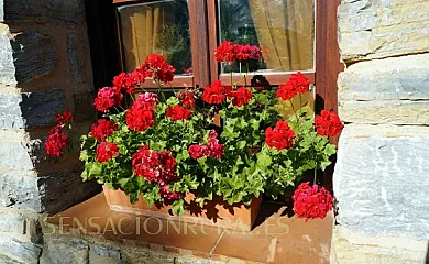 Goikoetxe Baserria en Zeanuri (Vizcaya) - Foto 10