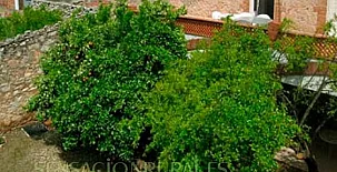 Ca La Tieta Quima 006