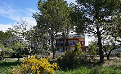 La Romanillosa en La Llacuna (Barcelona) - Foto 2