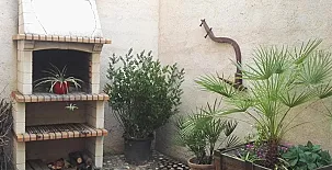 La Casa de Gonzala 003