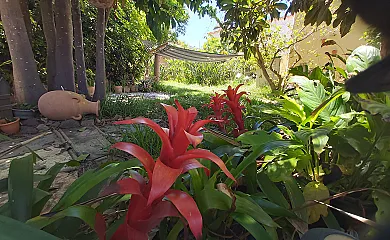 Finca Paraíso en San Cristobal de la Laguna (Santa Cruz de Tenerife) - Foto 24