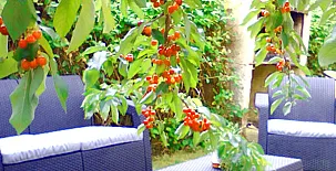 La Castellana y Casa El Álamo 002