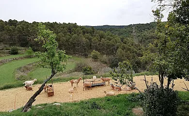 Mas l,Estrada en Viladecaballs de Calders (Barcelona) - Foto 21