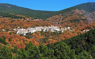 Hospedería Tía María en Casillas (Ávila) - Foto 9