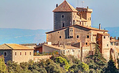 Castell de Riudabella en Vimbodi (Tarragona) - Foto 1