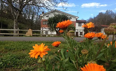 Apartamentos Les Piperes en Corao (Asturias) - Foto 2
